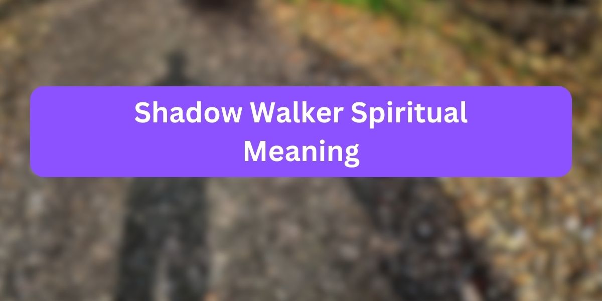 Shadow Walker Spiritual Meaning