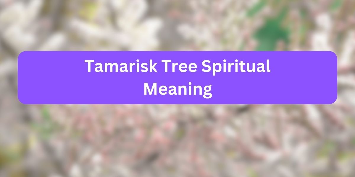 Tamarisk Tree Spiritual Meaning