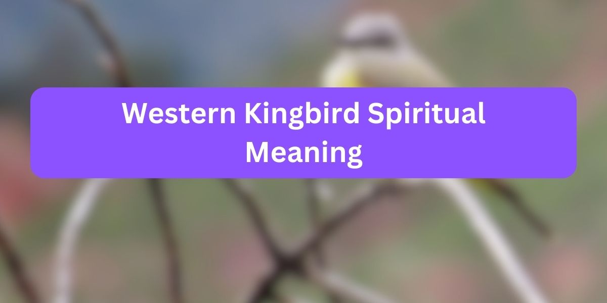 Western Kingbird Spiritual Meaning