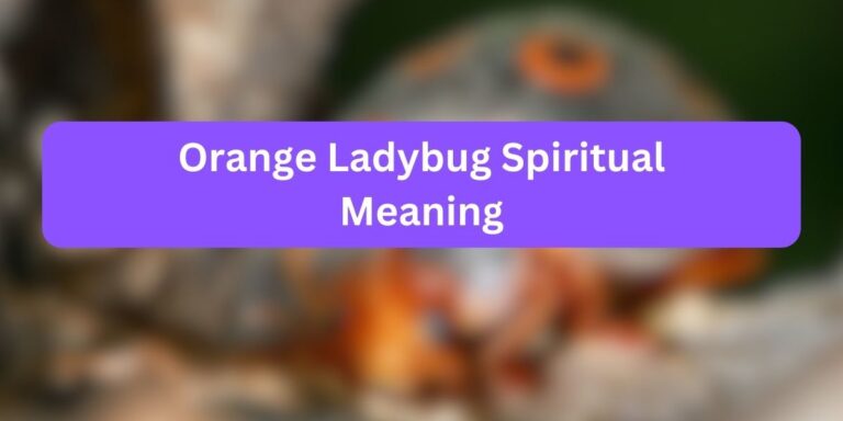 Orange Ladybug Spiritual Meaning (Interesting Facts)