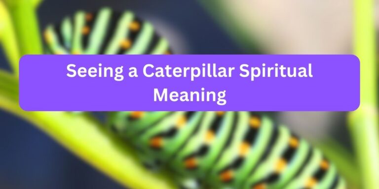 Seeing a Caterpillar Spiritual Meaning (Interesting Facts)