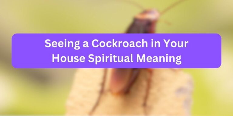 Seeing a Cockroach in Your House Spiritual Meaning