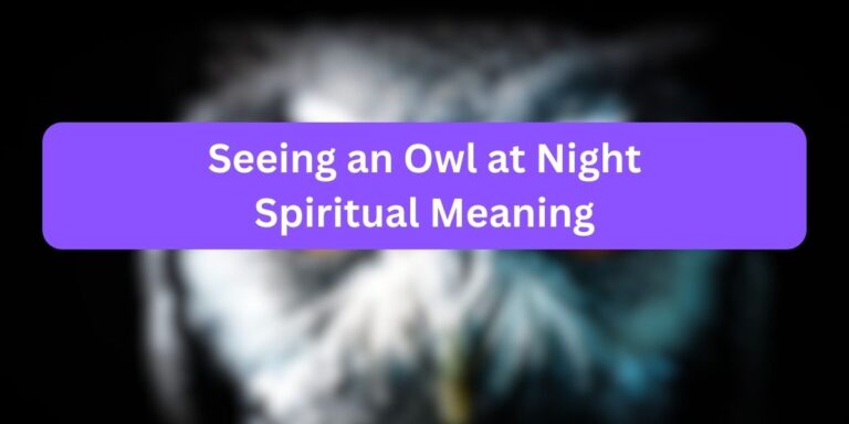 Seeing an Owl at Night Spiritual Meaning (Must Read)