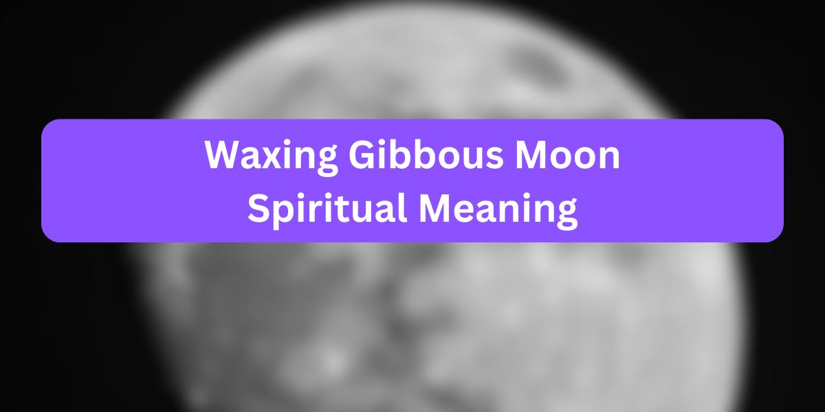 Waxing Gibbous Moon Spiritual Meaning
