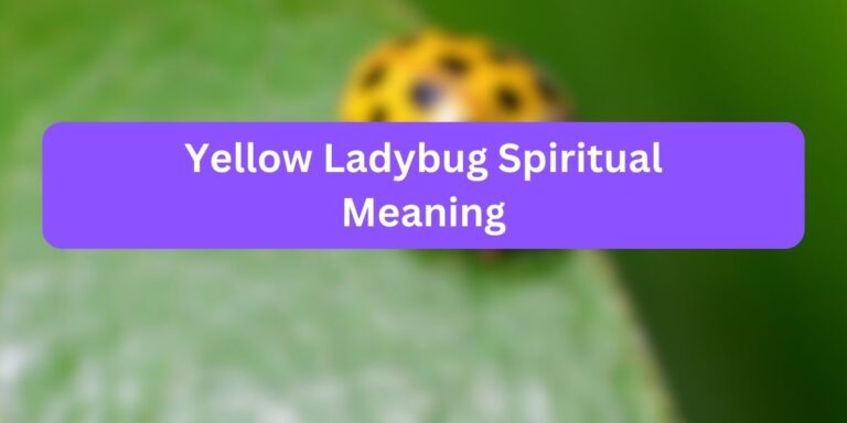 Yellow Ladybug Spiritual Meaning (Unknown Facts)