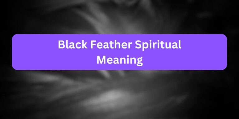 Black Feather Spiritual Meaning (Powerful Facts)