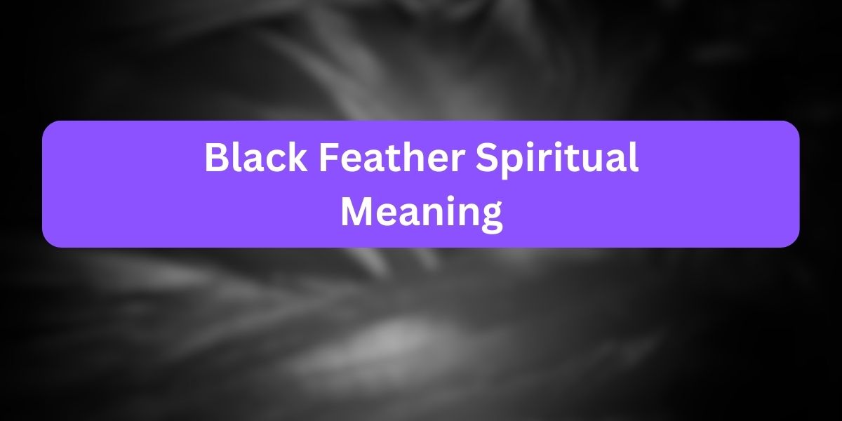 Black Feather Spiritual Meaning