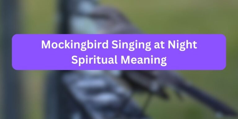 Mockingbird Singing at Night Spiritual Meaning