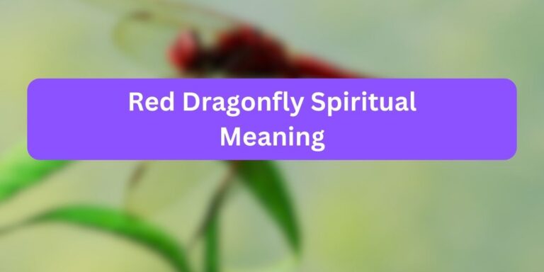 Red Dragonfly Spiritual Meaning (Inner Meaning)