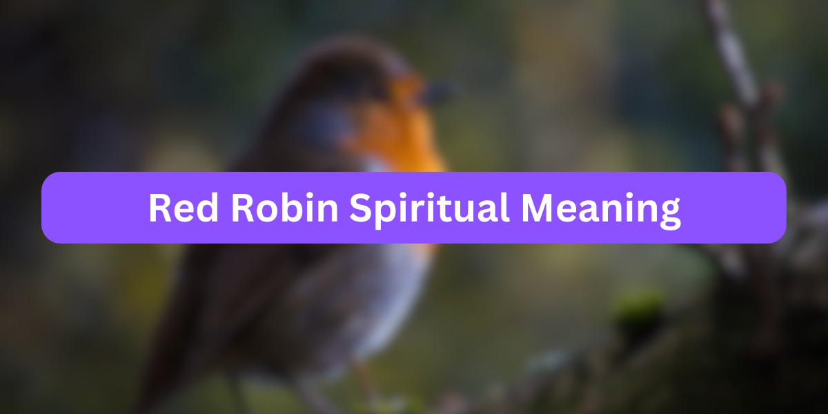 Red Robin Spiritual Meaning