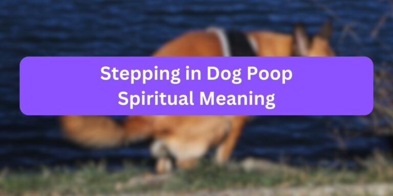 Stepping in Dog Poop Spiritual Meaning (Must Read)