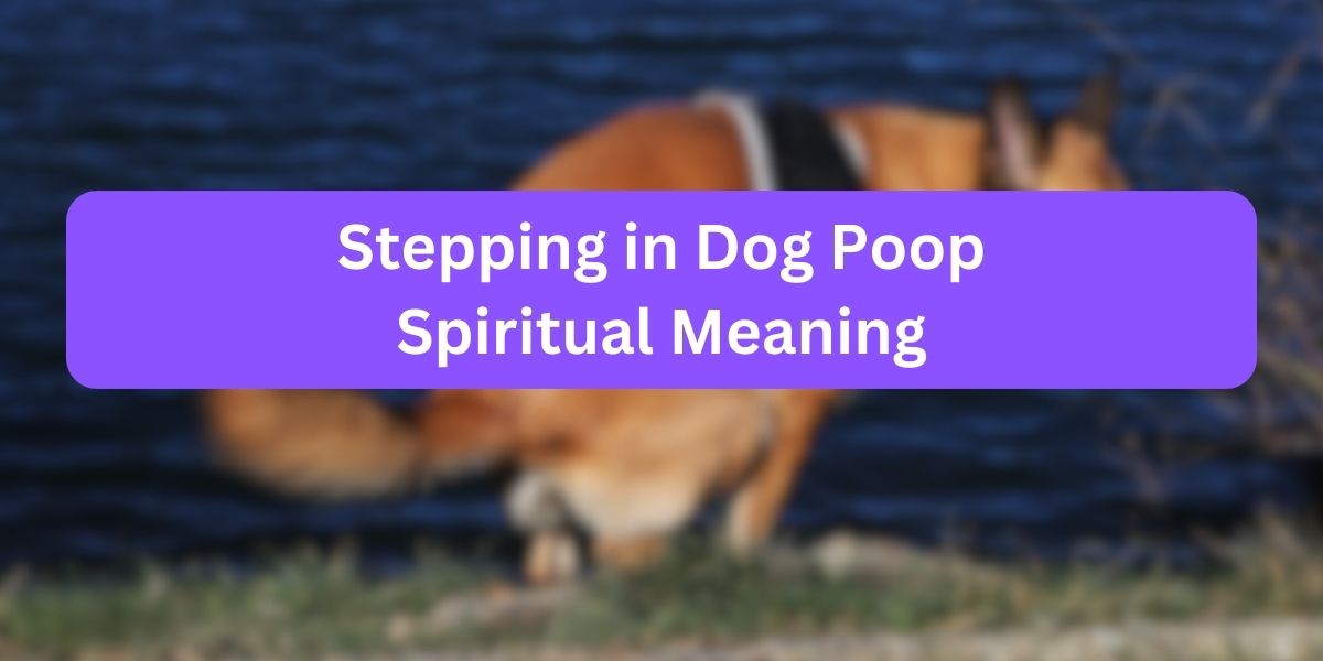 Stepping in Dog Poop Spiritual Meaning