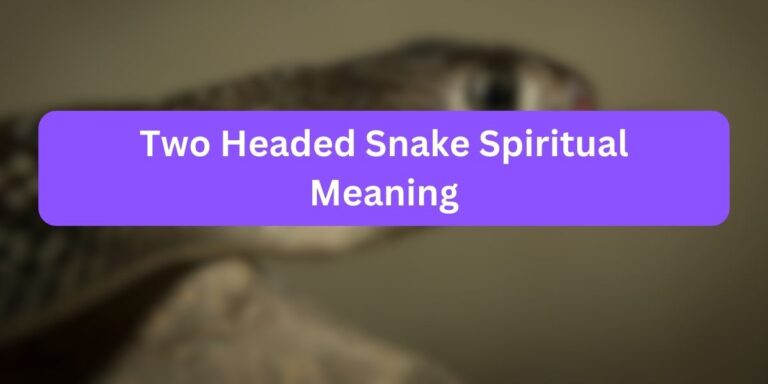 Two Headed Snake Spiritual Meaning (Mystical Powers)