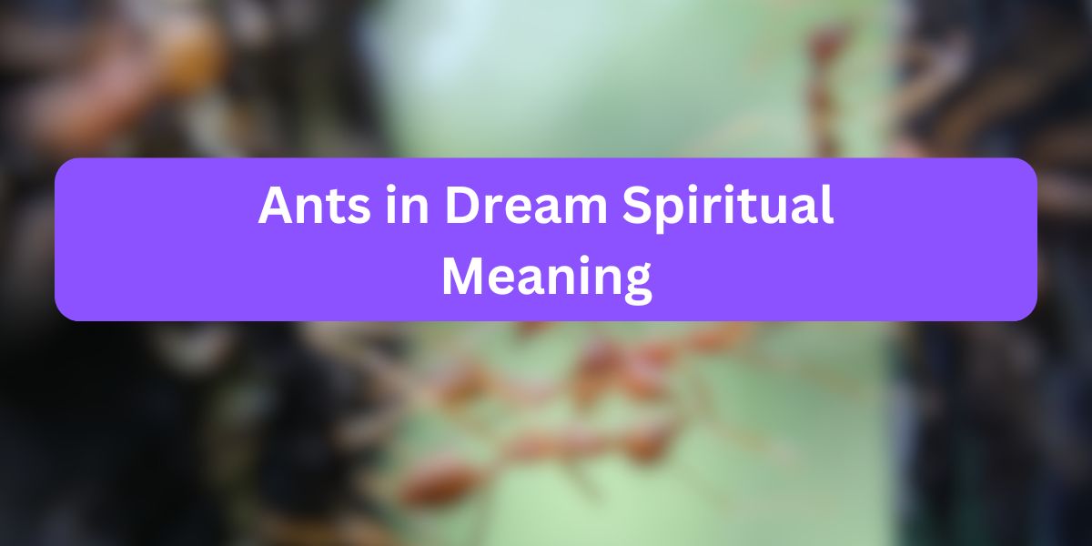 Ants in Dream Spiritual Meaning