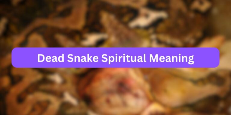 Dead Snake Spiritual Meaning (Suicidal Truth)