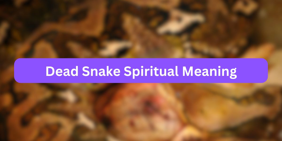 Dead Snake Spiritual Meaning