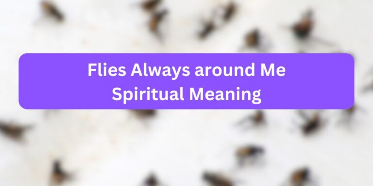 Flies Always Around Me Spiritual Meaning (Facts to Know)