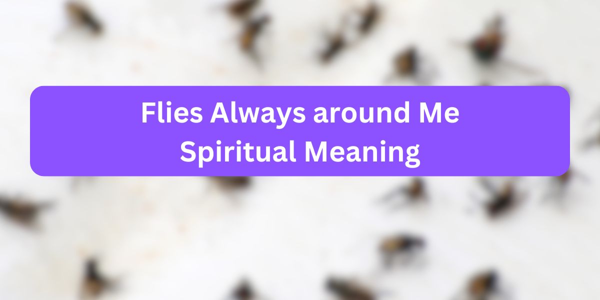 Flies Always Around Me Spiritual Meaning