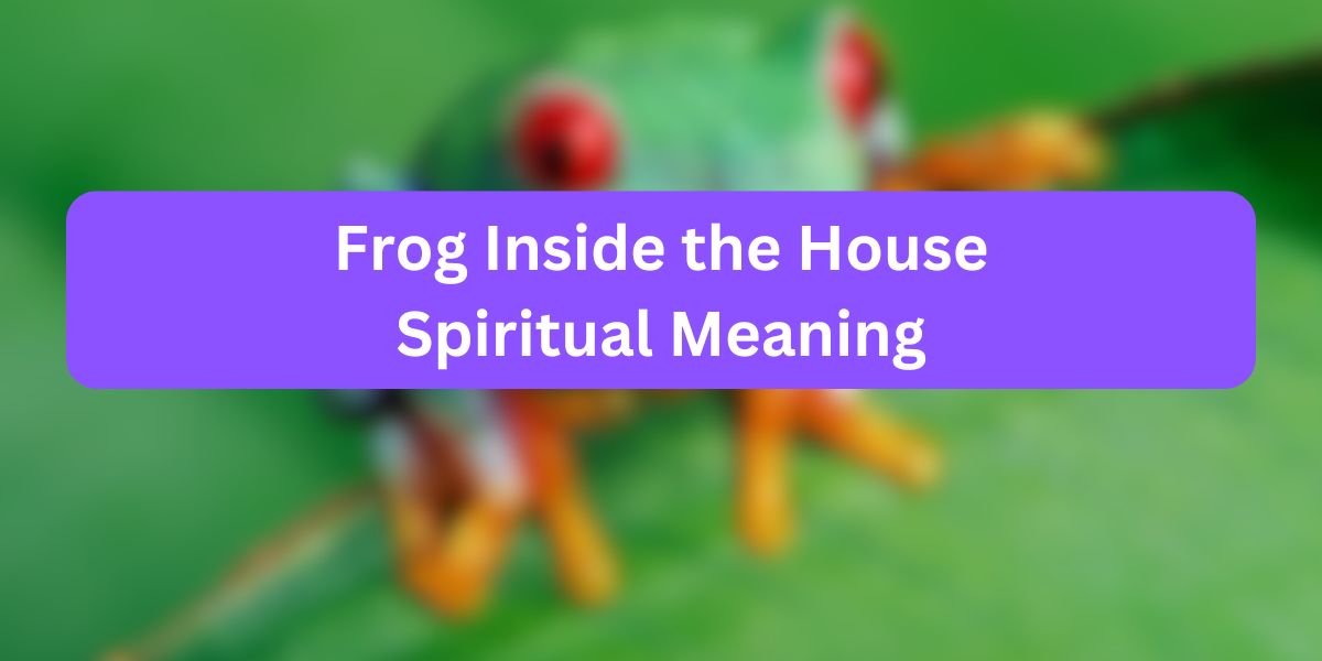 Frog Inside the House Spiritual Meaning