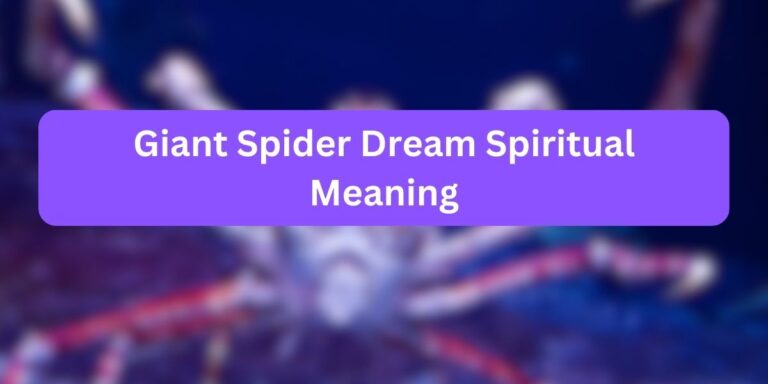 Giant Spider Dream Spiritual Meaning (Must Read)