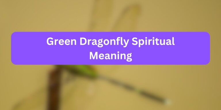 Green Dragonfly Spiritual Meaning (Symbolism Explained)