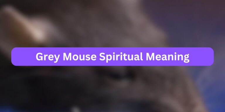 Grey Mouse Spiritual Meaning (Symbolism + Facts)