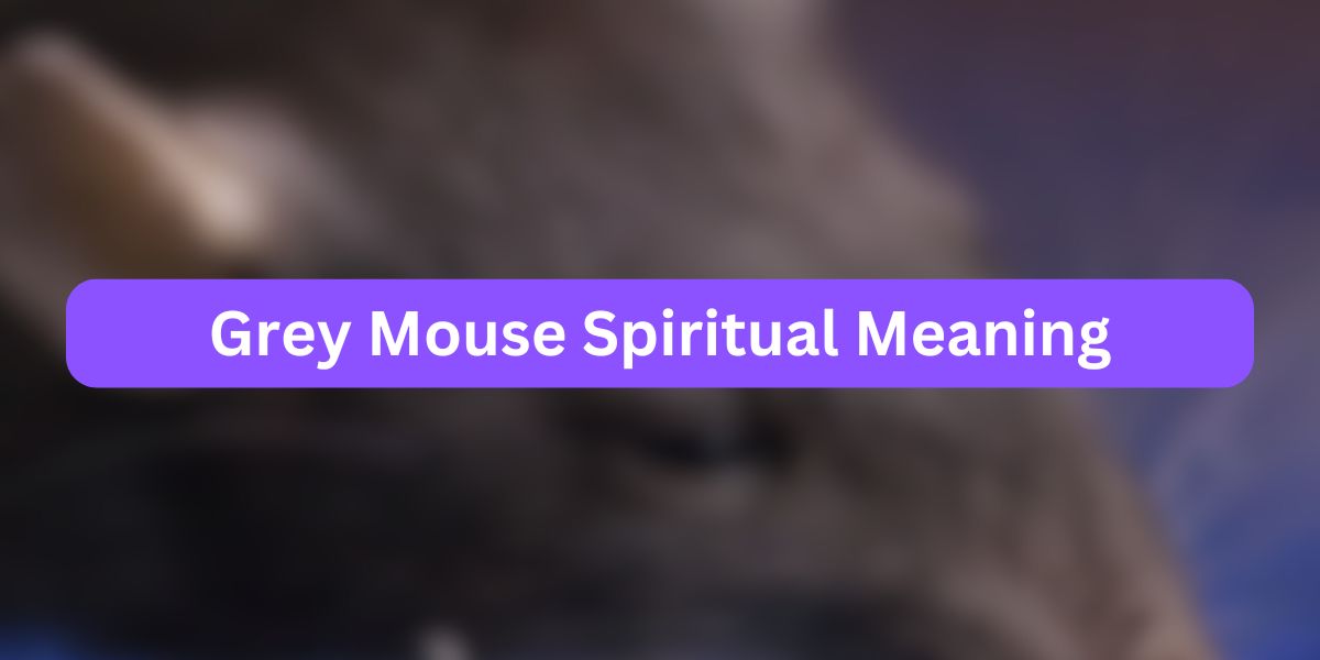 Grey Mouse Spiritual Meaning
