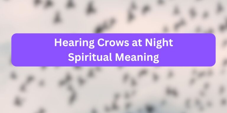 Hearing Crows at Night Spiritual Meaning: Normal?