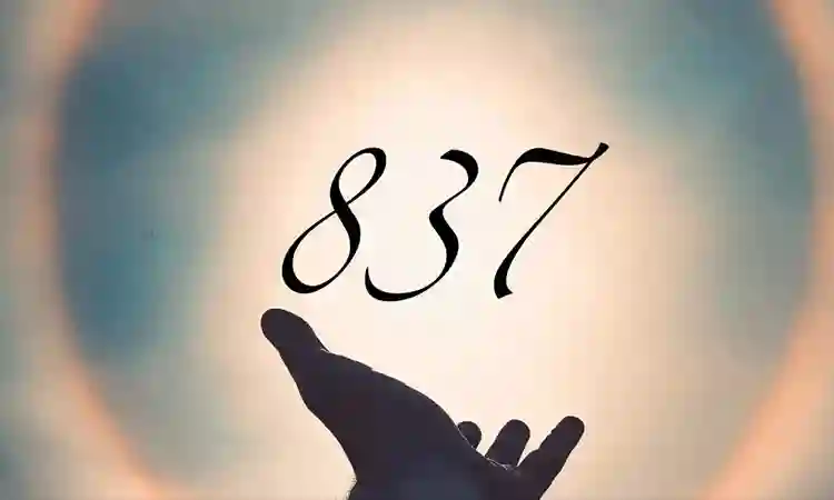 837 Angel Number Twin Flame: Unveiling the Divine Connection